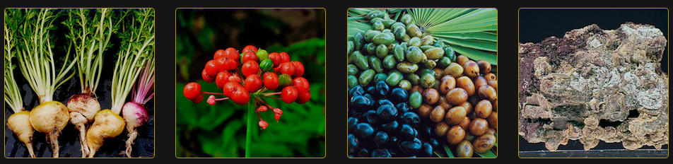 Testosterone Boost Ingredients 