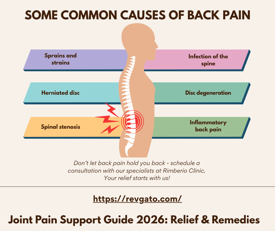 Joint Pain Support